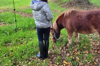 médiation équine Dol-de-Bretagne-2