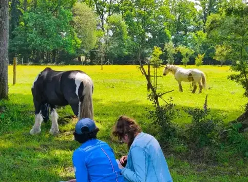 médiation équine Dol-de-Bretagne-4
