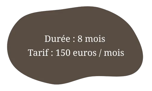 mediation equine dol de bretagne