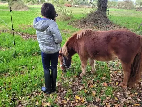 médiation équine Ille-et-Vilaine-1