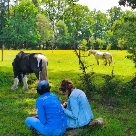 médiation équine à Ille-et-Vilaine - image 3
