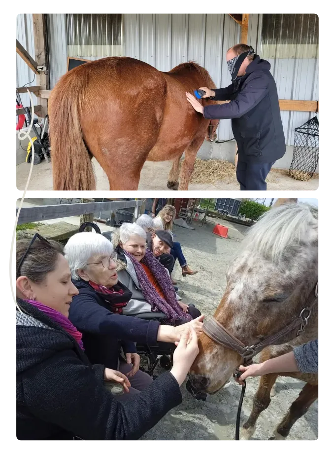 mediation equine maen roch