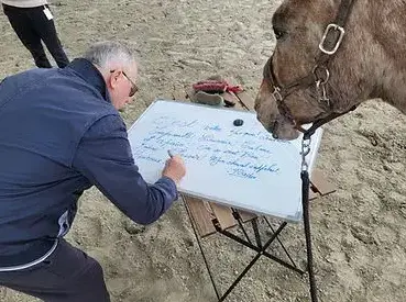 médiation équine Normandie-1