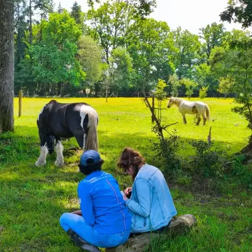 médiation équine à Normandie - image 2