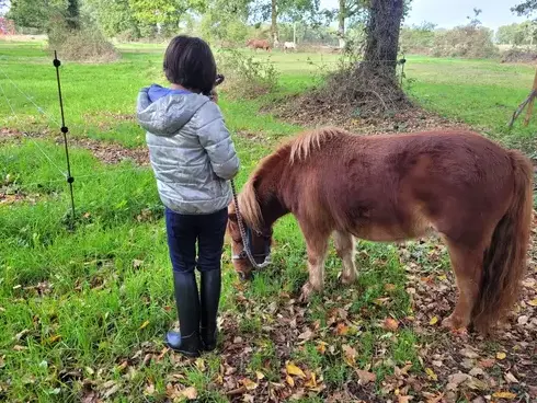 médiation équine Normandie-5