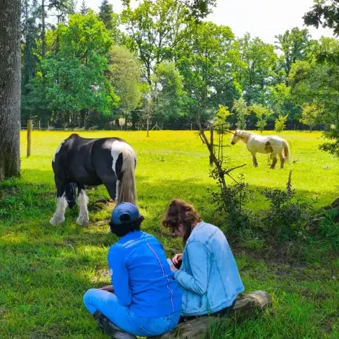 médiation équine à Pontorson - image 2