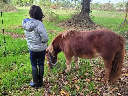 médiation équine à Pontorson - image 4