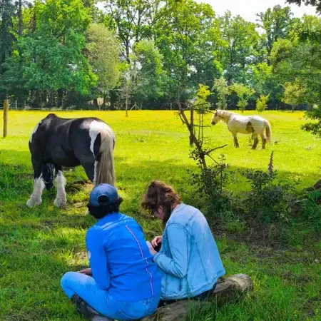 séminaire nature Avranches-1
