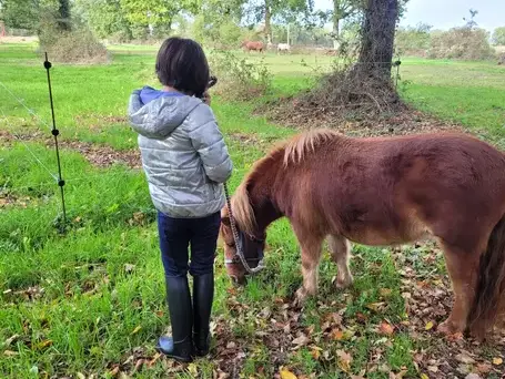 séminaire nature à Avranches - image 2
