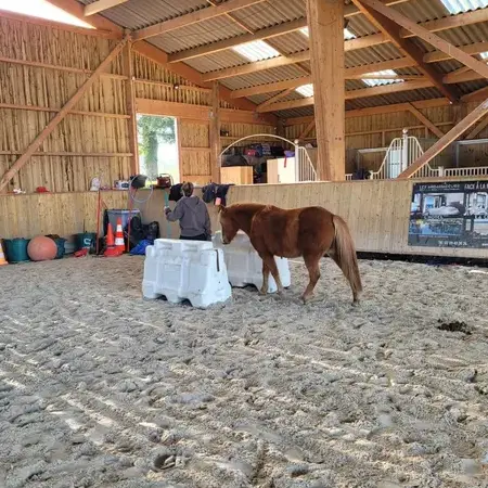 séminaire nature à Avranches - image 3