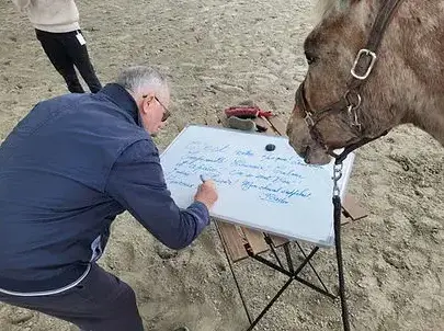 séminaire nature à Avranches - image 4
