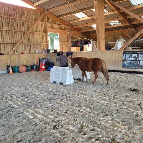 séminaire nature Bretagne-1