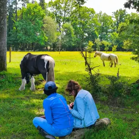 séminaire nature à Bretagne - image 2