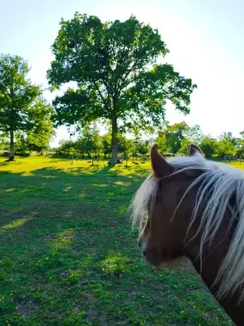séminaire nature à Bretagne - image 3