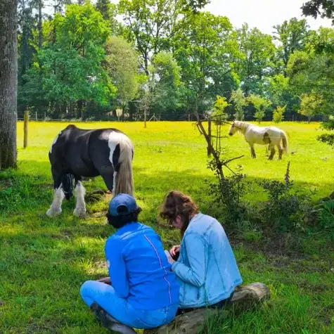 séminaire nature à Combourg - image 2