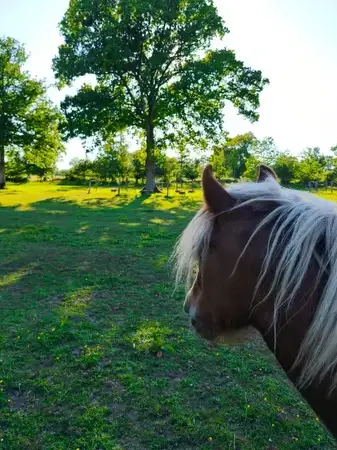 séminaire nature à Combourg - image 4