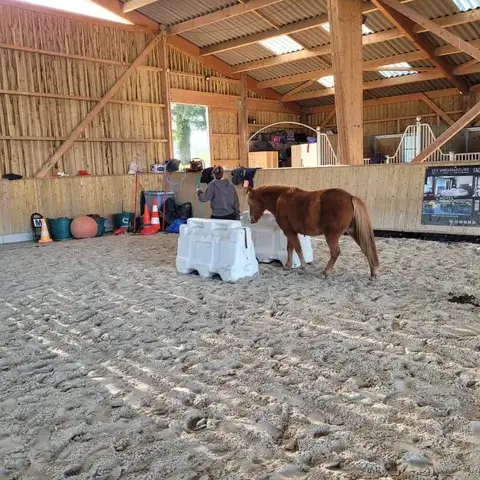 séminaire nature Combourg-5