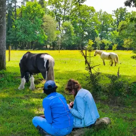 séminaire nature à Dol-de-Bretagne - image 2