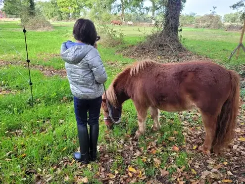 séminaire nature à Dol-de-Bretagne - image 3