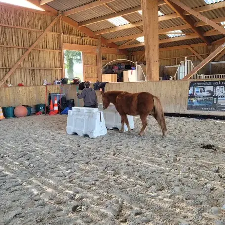 séminaire nature à Dol-de-Bretagne - image 4