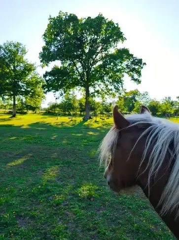 séminaire nature Dol-de-Bretagne-5