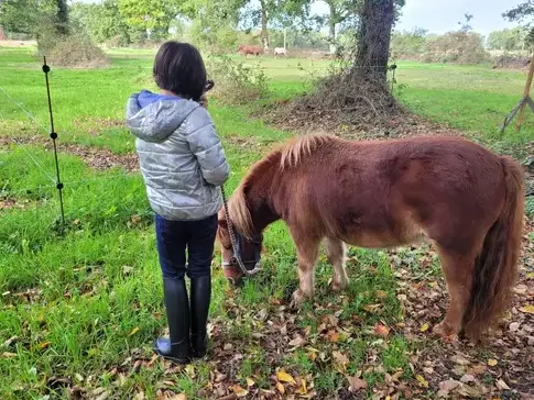 séminaire nature à Fougères - image 2