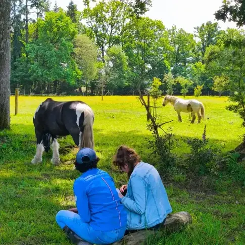 séminaire nature Ille-et-Vilaine-1