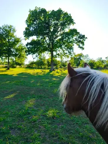 séminaire nature à Ille-et-Vilaine - image 2