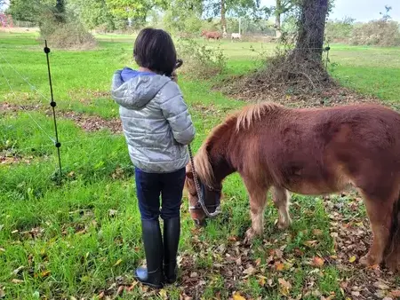 séminaire nature Ille-et-Vilaine-5