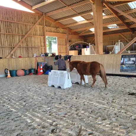 séminaire nature à Maen Roch - image 2