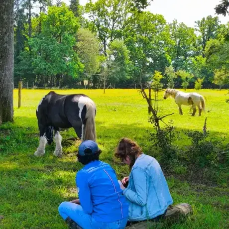 séminaire nature à Maen Roch - image 3