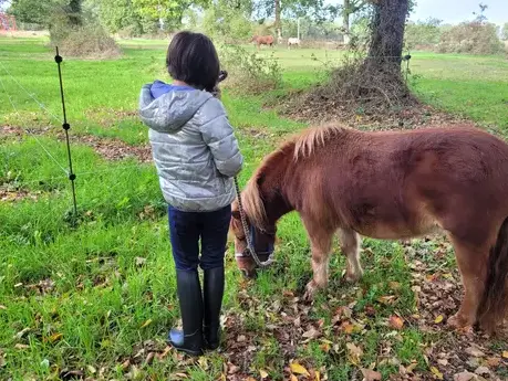 séminaire nature à Maen Roch - image 4