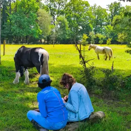 séminaire nature à Normandie - image 3
