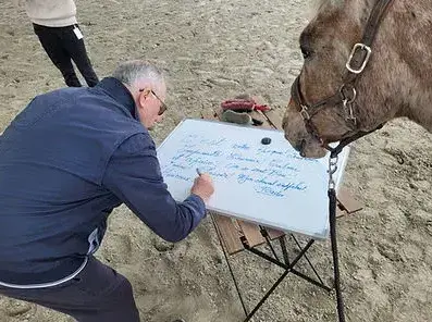 séminaire nature à Normandie - image 4