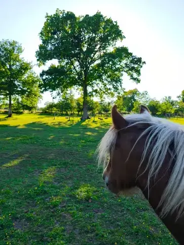 séminaire nature Normandie-5