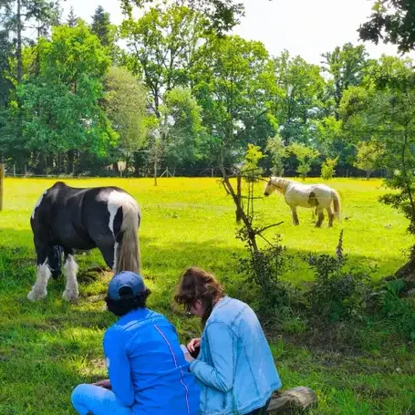 séminaire nature Pontorson-1