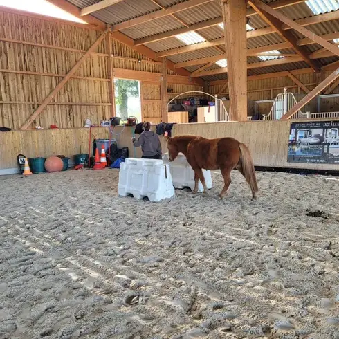 séminaire nature à Pontorson - image 2
