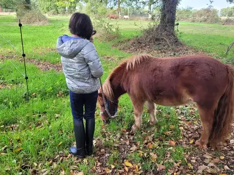 séminaire nature Pontorson-5