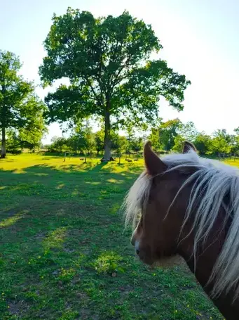 séminaire nature à Rennes - image 3