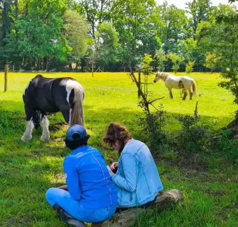 thérapie cheval Avranches-2