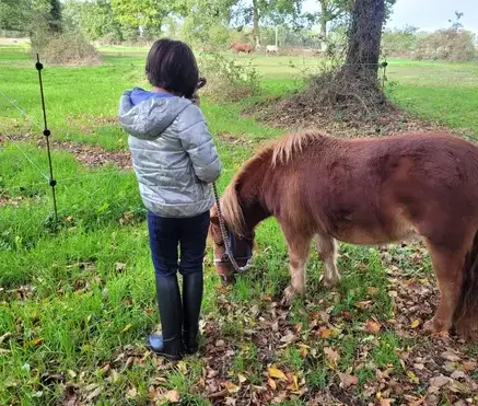 thérapie cheval Avranches-3