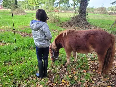 thérapie cheval à Bretagne - image 2