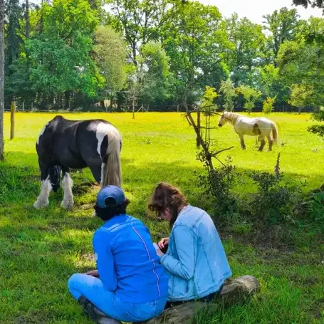 thérapie cheval à Bretagne - image 4