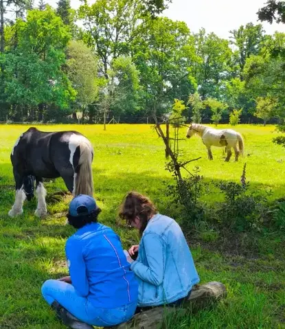 thérapie cheval Combourg-2