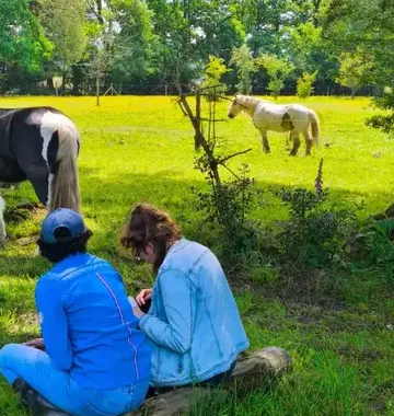 thérapie cheval Dol-de-Bretagne-2