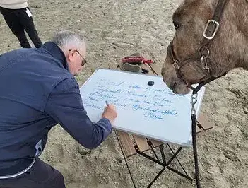 thérapie cheval Fougères-2
