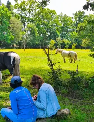 thérapie cheval Fougères-3