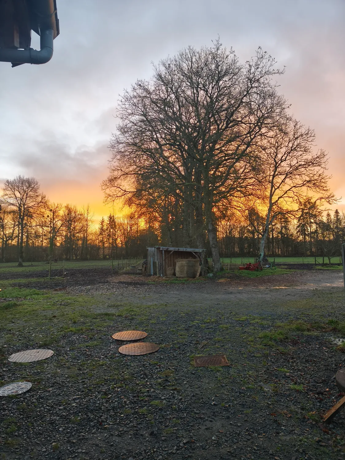 therapie cheval fougeres