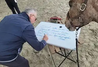 thérapie cheval Maen Roch-3