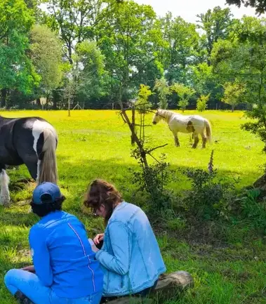 thérapie cheval Maen Roch-5